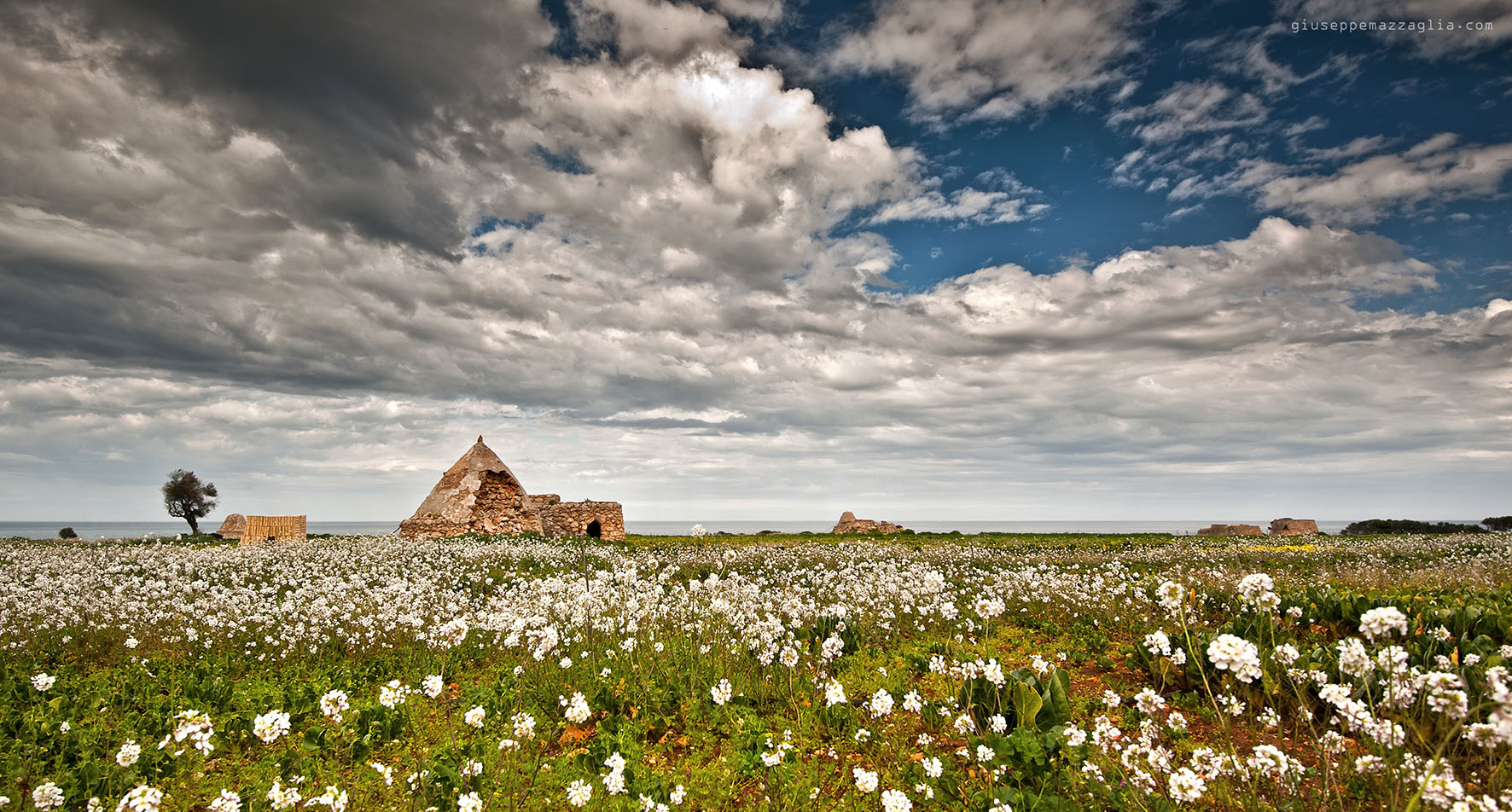 Arte e natura, itinerari in Valle d'Itria
